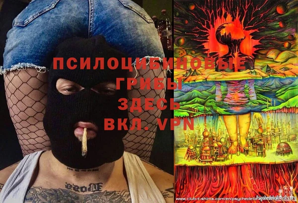 тгк Абинск