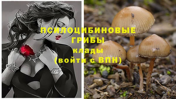 прущие крисы Абдулино