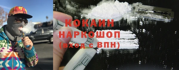 винт Абаза