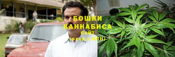 винт Абаза