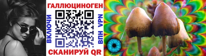 Псилоцибиновые грибы мицелий  блэк спрут   Усть-Катав 
